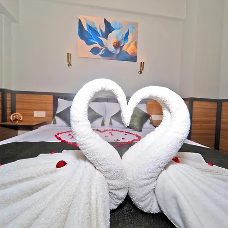 Arges Old 3* Provincia di Istanbul