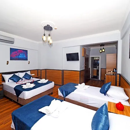 Arges Old Hotel 3*