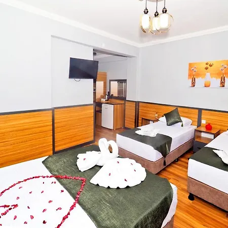 Hotel Arges Old Provincia di Istanbul