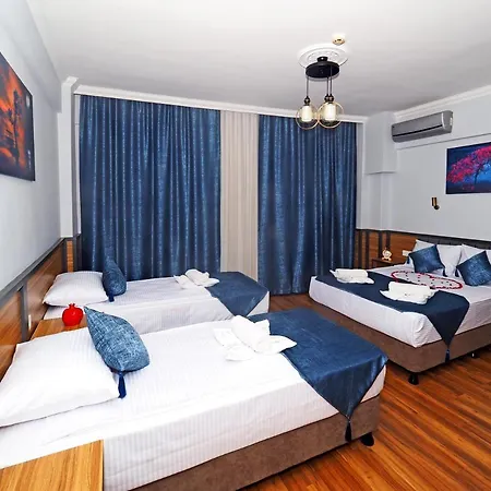 Hotel Arges Old 3*