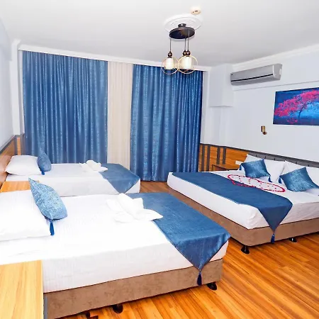 Arges Old Hotel 3*