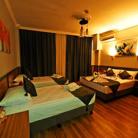 Arges Old Hotel 3*