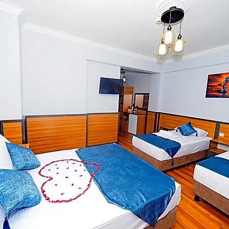 Ξενοδοχείο Arges Old 3*