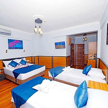 Ξενοδοχείο Arges Old 3*