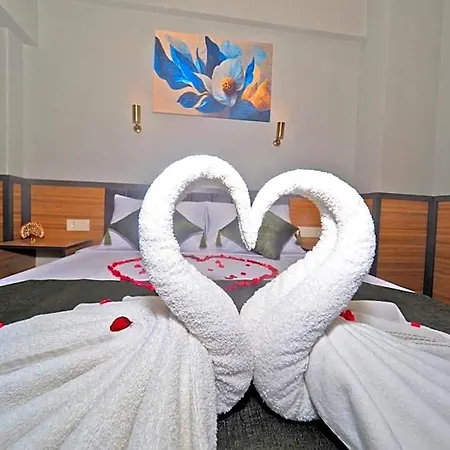 Arges Old Hotel 3*
