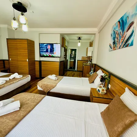 Hotel Arges Old