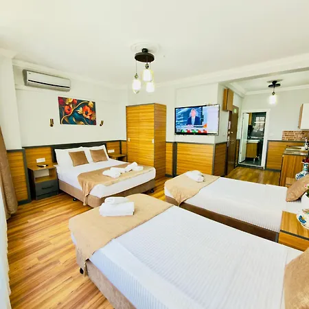 Arges Old Hotel 3*
